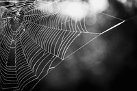 95447900-DD77-493D-A617-F0DC20F7191B