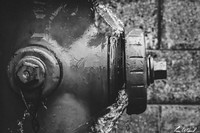 Busting at the Seams BW