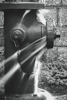 Busting at the Seams BW Long Exposure