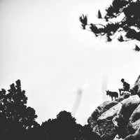ADEF94B3-4C1B-49CE-A3F4-1D9415D13A92